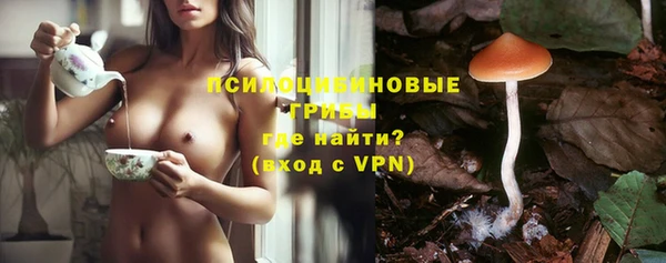 apvp Белоозёрский